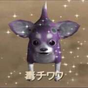 きゅる 初日ありがとう? 神田ハンドメイド