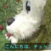 きゅる あ！し！た！ 神田ハンドメイド