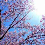 ヒメ日記 2026/03/29 10:19 投稿 星羅 横浜風俗 横浜いきなりビンビン伝説