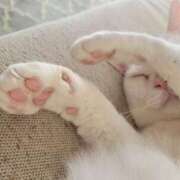 ヒメ日記 2025/09/27 08:39 投稿 はな 清楚