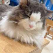 ヒメ日記 2025/09/09 20:10 投稿 ねむ ノーブラで誘惑する奥さん谷九・日本橋