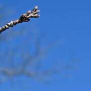 ヒメ日記 2026/02/24 19:00 投稿 しおり未経験 iris～アイリス～