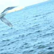 ヒメ日記 2026/03/01 09:00 投稿 しおり未経験 iris～アイリス～