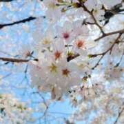 ヒメ日記 2026/03/20 09:00 投稿 しおり未経験 iris～アイリス～