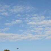 ヒメ日記 2026/03/23 09:15 投稿 しおり未経験 iris～アイリス～