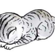 ヒメ日記 2025/12/01 18:19 投稿 ルナ【抱きしめたくなる甘色天使】 秘書コレクション 高松店