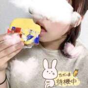 ヒメ日記 2025/09/18 16:16 投稿 ゆみ 横浜人妻花壇本店