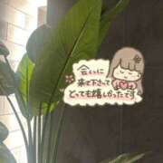 ヒメ日記 2025/10/28 13:31 投稿 ゆみ 横浜人妻花壇本店