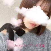 ヒメ日記 2025/11/16 09:50 投稿 ゆみ 横浜人妻花壇本店