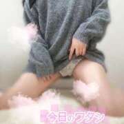 ヒメ日記 2025/11/16 11:47 投稿 ゆみ 横浜人妻花壇本店