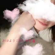 ヒメ日記 2025/11/17 09:49 投稿 ゆみ 横浜人妻花壇本店