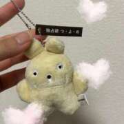 ヒメ日記 2025/11/20 08:17 投稿 ゆみ 横浜人妻花壇本店