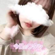 ヒメ日記 2025/11/23 16:36 投稿 ゆみ 横浜人妻花壇本店