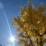 ヒメ日記 2025/11/24 21:47 投稿 ゆみ 横浜人妻花壇本店