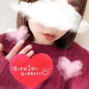 ヒメ日記 2025/11/26 09:48 投稿 ゆみ 横浜人妻花壇本店