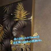 ヒメ日記 2025/12/11 00:49 投稿 ゆみ 横浜人妻花壇本店
