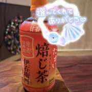 ヒメ日記 2026/01/07 10:31 投稿 ゆみ 横浜人妻花壇本店