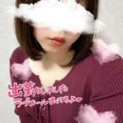 ヒメ日記 2026/02/20 09:50 投稿 ゆみ 横浜人妻花壇本店
