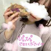 ヒメ日記 2026/02/25 11:47 投稿 ゆみ 横浜人妻花壇本店