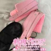 ヒメ日記 2026/02/28 07:21 投稿 ゆみ 横浜人妻花壇本店