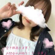 ヒメ日記 2026/05/16 09:46 投稿 ゆみ 横浜人妻花壇本店