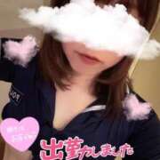 ヒメ日記 2026/06/03 09:46 投稿 ゆみ 横浜人妻花壇本店