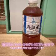 ヒメ日記 2026/06/15 07:40 投稿 ゆみ 横浜人妻花壇本店
