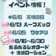 ヒメ日記 2026/06/19 09:34 投稿 ゆみ 横浜人妻花壇本店