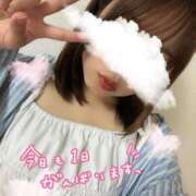 ヒメ日記 2026/06/20 09:57 投稿 ゆみ 横浜人妻花壇本店