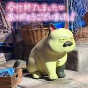 ヒメ日記 2026/07/10 15:03 投稿 ゆみ 横浜人妻花壇本店