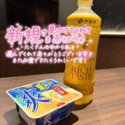 ヒメ日記 2026/08/20 07:36 投稿 ゆみ 横浜人妻花壇本店
