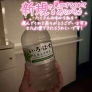 ヒメ日記 2026/09/01 16:02 投稿 ゆみ 横浜人妻花壇本店