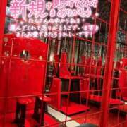 ヒメ日記 2026/09/10 15:35 投稿 ゆみ 横浜人妻花壇本店