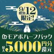 ヒメ日記 2026/09/11 17:21 投稿 ゆみ 横浜人妻花壇本店