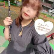 ヒメ日記 2026/09/17 13:26 投稿 ゆみ 横浜人妻花壇本店