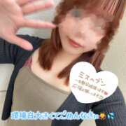 ヒメ日記 2026/09/19 14:27 投稿 ゆみ 横浜人妻花壇本店