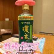 ヒメ日記 2026/09/28 07:17 投稿 ゆみ 横浜人妻花壇本店