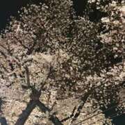 ヒメ日記 2026/04/04 12:03 投稿 アナ 見学娘