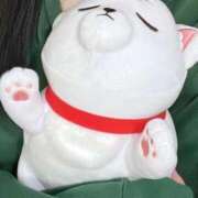 ヒメ日記 2026/04/30 08:13 投稿 アナ 見学娘