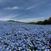 ヒメ日記 2026/04/21 11:53 投稿 あや 見学娘