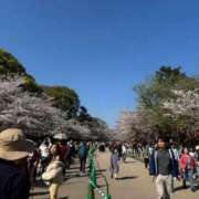 あん 4月4日 出勤🌸 見学娘
