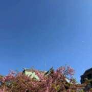 いよ 次回決まりました☁️ 見学娘