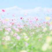 ヒメ日記 2026/03/13 09:43 投稿 みちる 見学娘