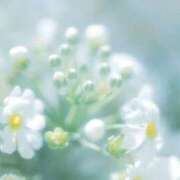 みちる 本日出勤 見学娘