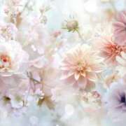 ヒメ日記 2026/04/23 19:21 投稿 みちる 見学娘