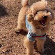 ヒメ日記 2025/09/10 05:28 投稿 やみらみ 上野　御徒町オトナのハンドメイド