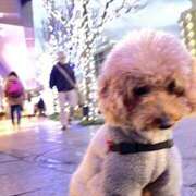 ヒメ日記 2026/02/05 20:34 投稿 やみらみ 上野　御徒町オトナのハンドメイド