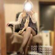 ヒメ日記 2025/11/09 08:01 投稿 ミオ OLの品格 クラブアッシュ