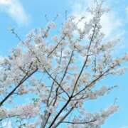 ヒメ日記 2026/03/28 00:51 投稿 さゆき 錦糸町人妻セレブリティ（ユメオト）