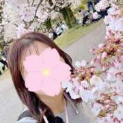 ヒメ日記 2026/04/11 17:25 投稿 さゆき 錦糸町人妻セレブリティ（ユメオト）